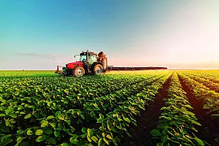 45 anos de desenvolvimento do estado por meio da agropecuária