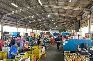 Ceasa avança em projeto para reaproveitar alimentos e ampliar segurança alimentar