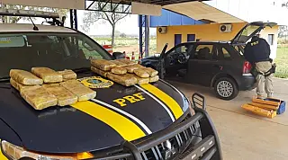 PRF apreende 20 kg de skunk em Nova Andradina