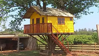 Marceneiro de Santa Fé do Sul constrói casa na árvore com água e luz