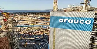 Megafábrica de celulose vai gerar 20 mil empregos em Inocência