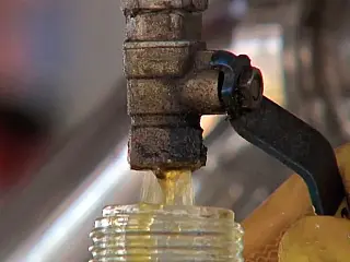 MS registra menor produção de biodiesel dos últimos 2 anos, diz ANP