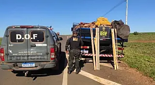 DOF apreende quase três toneladas de maconha em Coronel Sapucaia