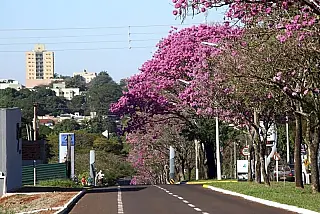 Só poderá entrar em Dourados pessoas vacinadas ou com resultado teste negativo