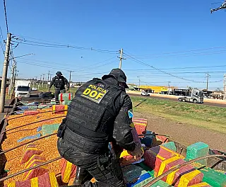DOF apreende 15 toneladas de maconha escondidas em carga de milho na fronteira