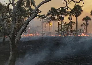 Apagão atinge Inocência  por mais de 8 horas após incêndio rural
