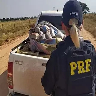 Traficantes abandonam caminhonete com 1 tonelada de maconha