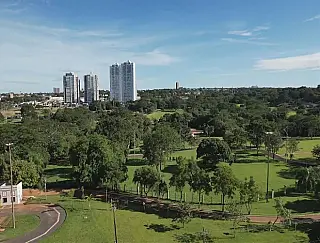 Celebramos o dia da árvore, entre outras grandes comemorações.