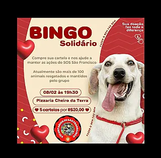 Bingo Solidário arrecada fundos para o S.O.S. São Francisco e ajuda mais de 100 animais