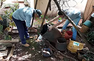 Costa Leste concentra cidades com maior número de casos de dengue em MS