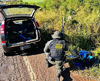 Polícia encontra 203 kg de maconha escondidos em mata de Ivinhema