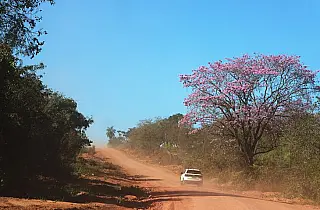 Com tempo estável, terça-feira tem previsão de sol e baixa umidade relativa do ar