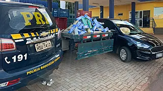 Mais de 195 kg de maconha são interceptados pela em Sidrolândia