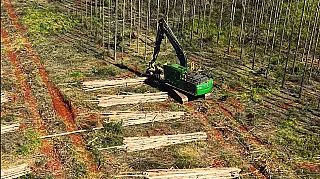 Arauco abre inscrições para programa de capacitação com vagas para moradores de Aparecida do Taboado