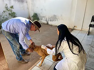 Aparecida do Taboado promove Dia D de Vacinação Antirrábica neste sábado