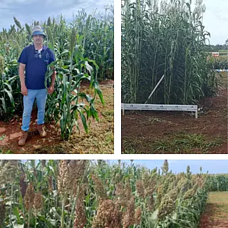 Docente da UEMS/Cassilândia participa de ações em tecnologias e pesquisas do agronegócio