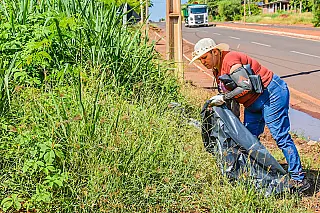 Casos de dengue avançam em Selvíria em meio a um período chuvoso
