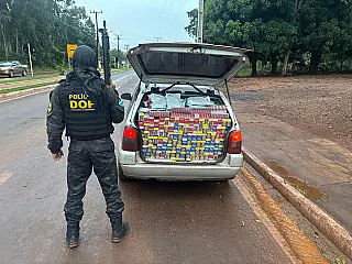 DOF apreende carga de agrotóxicos e cigarros contrabandeados em Maracaju