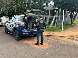 Polícia Militar atende ocorrência de violência doméstica em Amandina