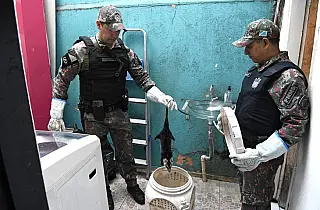 Polícia Militar Ambiental lembra que animal silvestre não é pet