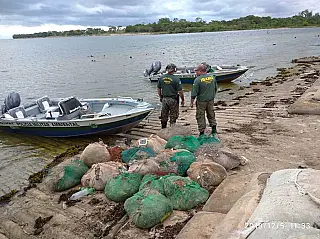 Batayporã - PMA e Ibama apreendem 55 redes de pesca e libertam 30 kg de peixes de petrechos ilegais