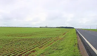 Conheça o projeto Fazenda Corredor