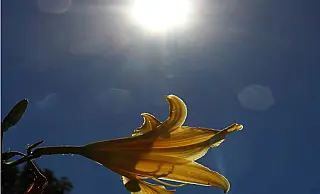 MS tem mais um dia de calor intenso nesta terça-feira