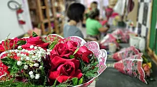 Procon divulga preços de flores e jantares