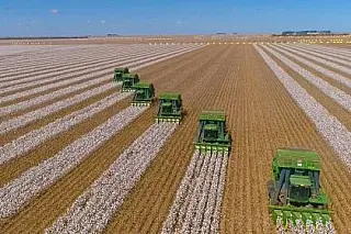Coronavirús afeta agronegócio no MS