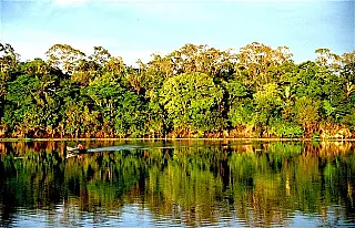 Comemorações de hoje celebram a natureza, o irmão e a caridade.