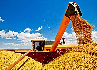 Exportação de soja de MS avança 129% em relação ao mesmo período de 2019