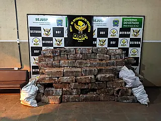 Polícia encontra 3,5 toneladas de maconha enterradas em chácara