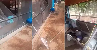 Onça-pintada que matou caseiro volta à cena do ataque e destrói local