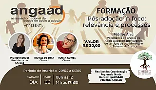 Pós Adoção in foco: Relevância e Processos