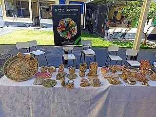 Coordenadoria da Mulher abre inscrições para curso de artesanato.