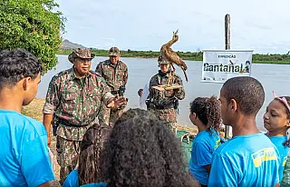 PMA intensifica combate à ceva de animais silvestres