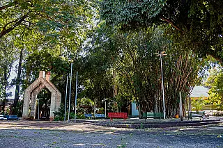 Trecho da Ernesto Geisel será interditado nesta sexta para retirada de árvores com risco de queda