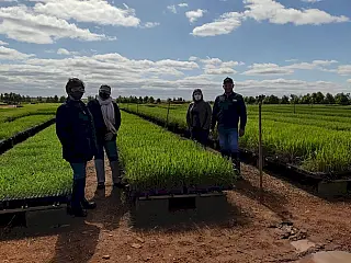 Adecoagro e Apae anunciam parceria para inclusão de pessoas com deficiência no mercado de trabalho