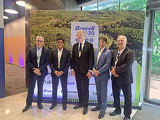 Base florestal em Mato Grosso do Sul deve crescer 40% até 2028