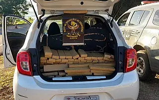 DOF apreende 200 quilos de droga em Caarapó, que tinha como destino MG