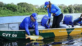 Pesque e solte está liberado a partir desta terça-feira nas calhas dos rios Paraguai e Paraná (MS).