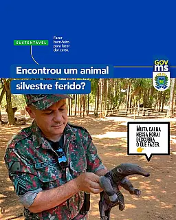 Governo de Mato Grosso do Sul reforça cuidados com animais silvestres