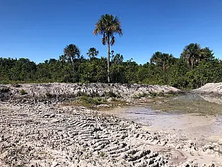 PMA autua fazendeiro por construir lagoa em áreas protegidas