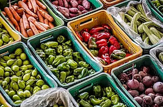 MS lança painel público para acompanhar perfil nutricional nos municípios