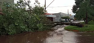 Alerta de vendaval vai para 56 municípios de MS