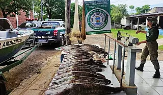 PMA apreende 210 kg de pescado