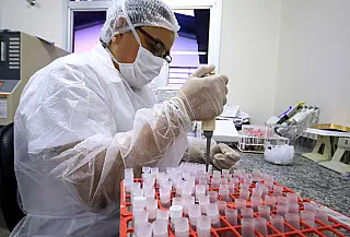 Mato Grosso do Sul soma quase 6 mil casos confirmados de dengue