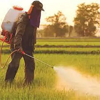o Dia Nacional do Combate da Poluição por Agrotóxicos