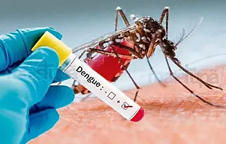 Mês de janeiro assusta em números positivos de dengue comparado ao ano de 2019