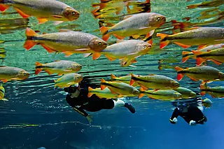 Bonito supera impactos da pandemia  e bate recorde de turistas em janeiro